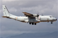 Adolfo Bento - Gran Canaria Spotters. Click to see full size photo