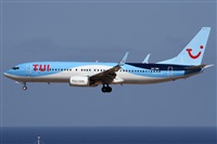 ©Alfonso Solís - Asociación Canary Islands Spotting. Click to see full size photo ©Alfonso Solís - Asociación Canary Islands Spotting. Click to see full size photo