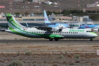 Alfonso Sols - Asociacin Canary Islands Spotting. Click to see full size photo