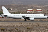 Alfonso Sols - Asociacin Canary Islands Spotting. Haz click para ampliar