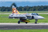 Tams. Click to see full size photo