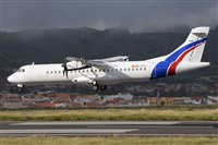 Miguel A. gueda Rguez.  (CANARY ISLANDS SPOTTING). Click to see full size photo