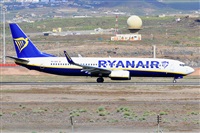 Miguel A. gueda Rguez.  (CANARY ISLANDS SPOTTING). Click to see full size photo