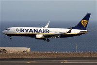 Alfonso Sols - Asociacin Canary Islands Spotting. Click to see full size photo