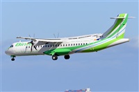 Miguel A. gueda Rguez.  (CANARY ISLANDS SPOTTING). Click to see full size photo