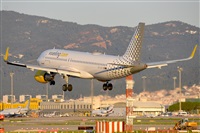 Miguel A. gueda Rguez.  (CANARY ISLANDS SPOTTING). Click to see full size photo