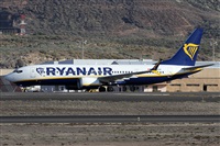 Alfonso Sols - Asociacin Canary Islands Spotting. Click to see full size photo