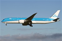 Alfonso Sols - Asociacin Canary Islands Spotting. Haz click para ampliar