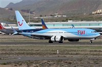 ©Alfonso Solís - Asociación Canary Islands Spotting. Click to see full size photo ©Alfonso Solís - Asociación Canary Islands Spotting. Click to see full size photo
