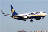 Alfonso Sols - Asociacin Canary Islands Spotting. Click to see full size photo