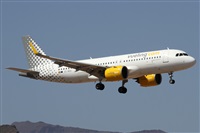 ©Alfonso Solís - Asociación Canary Islands Spotting. Click to see full size photo ©Alfonso Solís - Asociación Canary Islands Spotting. Click to see full size photo