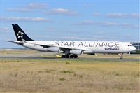 Miguel A. gueda Rguez.  (CANARY ISLANDS SPOTTING). Haz click para ampliar
