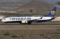 Alfonso Sols - Asociacin Canary Islands Spotting. Haz click para ampliar