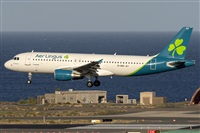 ©Adolfo Bento - Gran Canaria Spotters. Click to see full size photo ©Adolfo Bento - Gran Canaria Spotters. Click to see full size photo