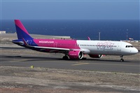 Alfonso Sols - Asociacin Canary Islands Spotting. Click to see full size photo