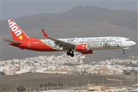 ©Adolfo Bento - Gran Canaria Spotters. Click to see full size photo ©Adolfo Bento - Gran Canaria Spotters. Click to see full size photo