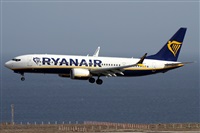 ©Alfonso Solís - Asociación Canary Islands Spotting. Click to see full size photo ©Alfonso Solís - Asociación Canary Islands Spotting. Click to see full size photo