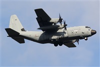 francesco della santa. Click to see full size photo