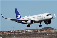 Alfonso Sols - Asociacin Canary Islands Spotting. Click to see full size photo