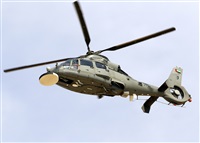 ©Javier Rodríguez. Click to see full size photo ©Javier Rodríguez. Click to see full size photo