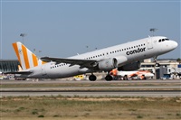 �Alfonso Sol�s - Asociaci�n Canary Islands Spotting. Click to see full size photo