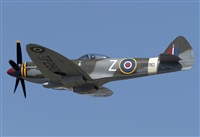 �Rod Dermo. Click to see full size photo