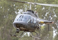 �Flavio Garc�a. Click to see full size photo