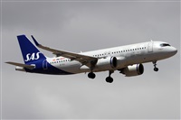 �Alfonso Sol�s - Asociaci�n Canary Islands Spotting. Click to see full size photo
