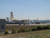 Ivan - IBE6402. Click to see full size photo