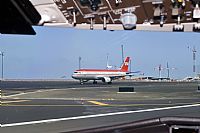 Javier de la Cruz - CANARY ISLANDS SPOTTING. Click to see full size photo