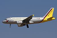 Jos Miguel Bernases - Noisy Spotters. Click to see full size photo