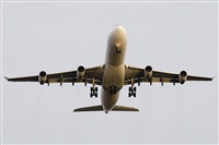 Luciano de la Rosa Gutirrez (Tenerife) Canary Islands Spotting. Click to see full size photo