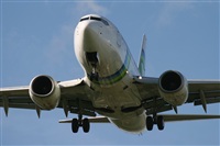 Rodrigo Carvalho - Noisy Spotters. Click to see full size photo
