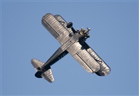 Adrin Chapela Cordeiro - Gallaecia Spotters. Click to see full size photo