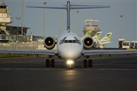 Chalo Canary Islands Spotting. Click to see full size photo