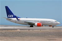 Miguel A. gueda Rguez.  (CANARY ISLANDS SPOTTING). Haz click para ampliar