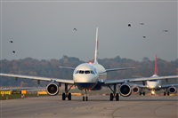 Rodrigo Carvalho - Noisy Spotters. Click to see full size photo