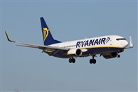 Alfonso Sols - Asociacin Canary Islands Spotting. Haz click para ampliar
