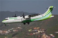 J M Sabina-Asociacin Canary Islands Spotting. Click to see full size photo