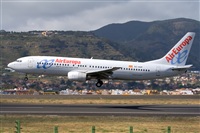 Javier de la Cruz - CANARY ISLANDS SPOTTING. Click to see full size photo
