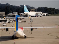 Miguel Martin Cordeiro - Iberian Spotters. Click to see full size photo