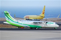 Luciano Fumero( freedom spotter)canary island spotting. Click to see full size photo