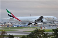 Rubn Gil - Noisy Spotters. Click to see full size photo