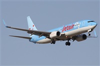 ©Alfonso Solís - Asociación Canary Islands Spotting. Click to see full size photo ©Alfonso Solís - Asociación Canary Islands Spotting. Click to see full size photo