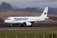 Javier de la Cruz - CANARY ISLANDS SPOTTING. Click to see full size photo