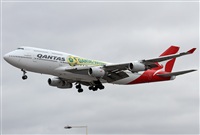 Jos Miguel Bernases - Noisy Spotters. Click to see full size photo