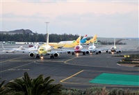 Alejandro H.L - Gran Canaria Spotters. Click to see full size photo