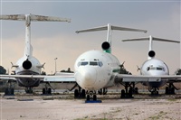 Rodrigo Carvalho - Noisy Spotters. Click to see full size photo