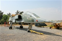 Ral Zamora M. Click to see full size photo