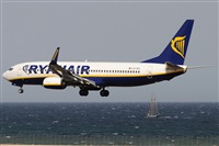 Rubn Gil - Noisy Spotters. Click to see full size photo